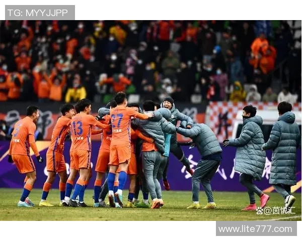 南京足球队运营分析：成功与挑战并存的背后故事